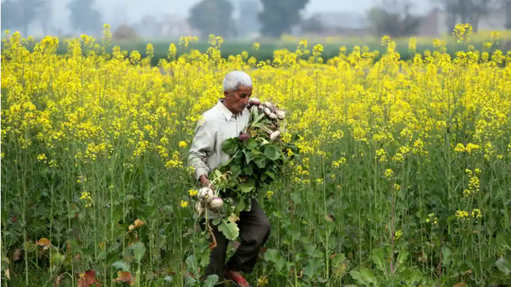 使用机器学习技术来监测土壤湿度